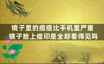 镜子里的痘痘比手机里严重 镜子脸上痘印是全部看得见吗